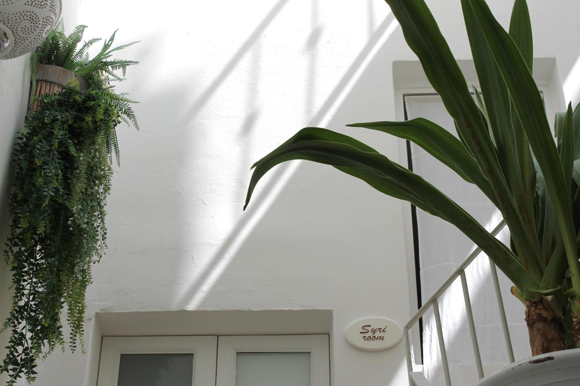 Palmieri Luxury Rooms Gallipoli Exterior foto